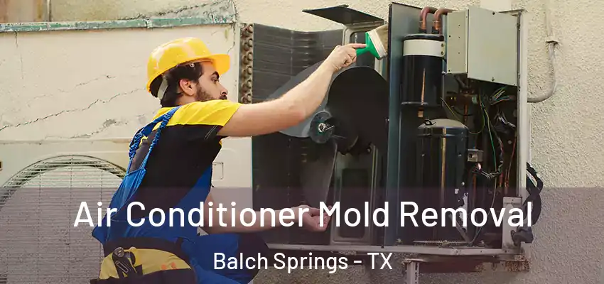 Air Conditioner Mold Removal Balch Springs - TX