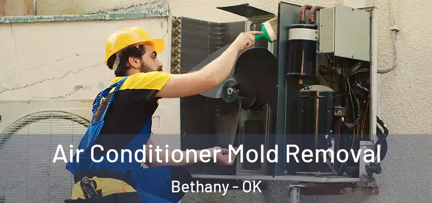  Air Conditioner Mold Removal Bethany - OK