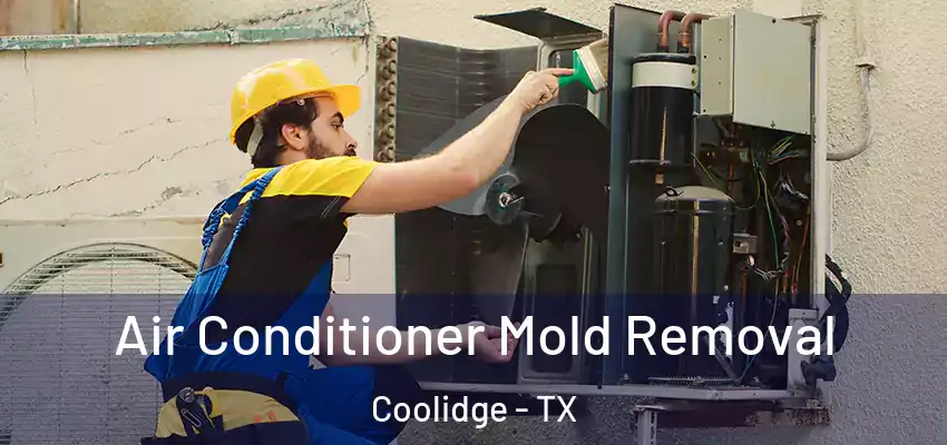  Air Conditioner Mold Removal Coolidge - TX