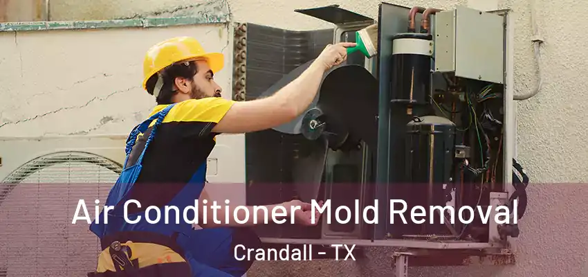  Air Conditioner Mold Removal Crandall - TX