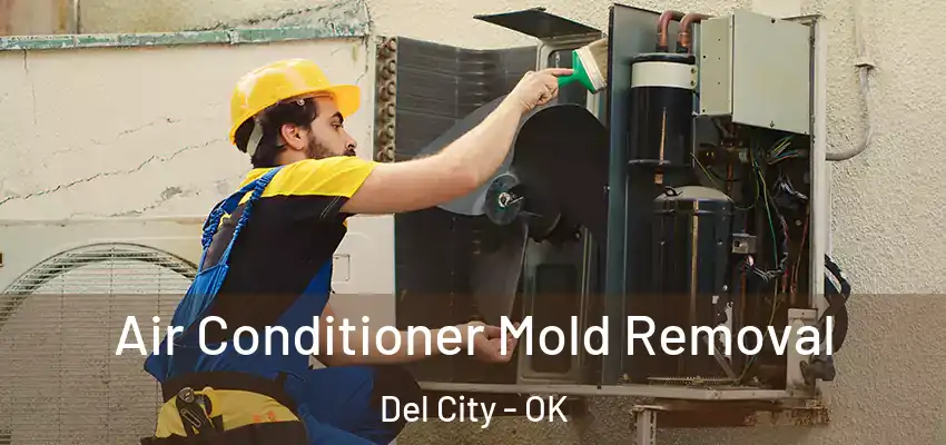 Air Conditioner Mold Removal Del City - OK