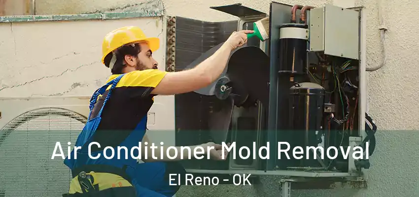  Air Conditioner Mold Removal El Reno - OK