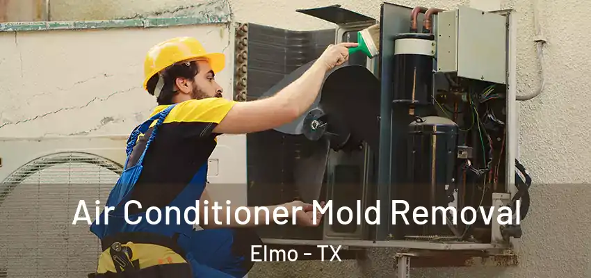  Air Conditioner Mold Removal Elmo - TX
