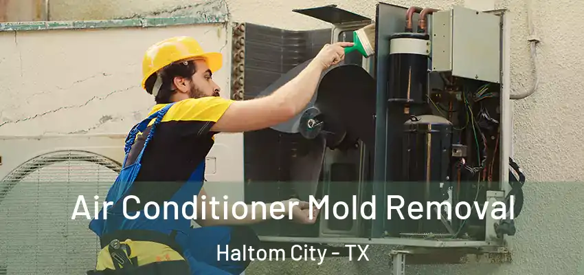 Air Conditioner Mold Removal Haltom City - TX