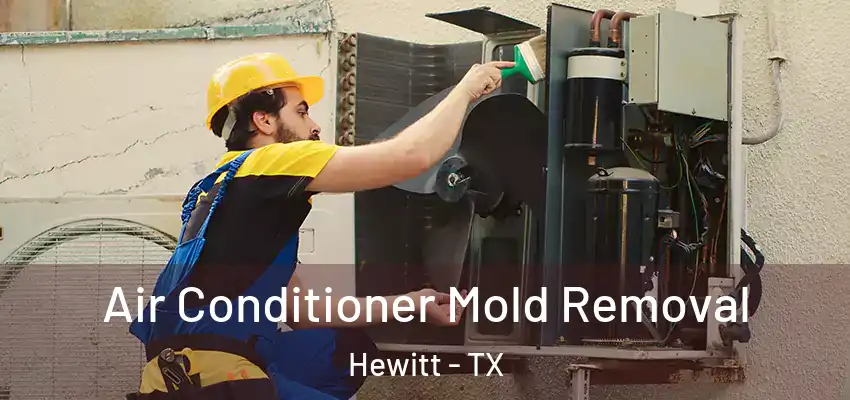 Air Conditioner Mold Removal Hewitt - TX