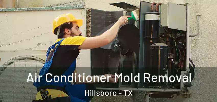  Air Conditioner Mold Removal Hillsboro - TX