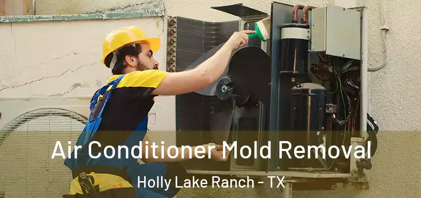  Air Conditioner Mold Removal Holly Lake Ranch - TX