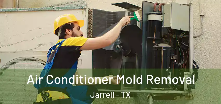  Air Conditioner Mold Removal Jarrell - TX