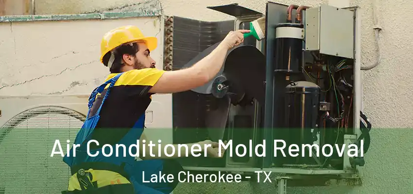  Air Conditioner Mold Removal Lake Cherokee - TX