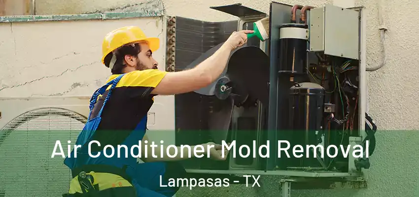  Air Conditioner Mold Removal Lampasas - TX