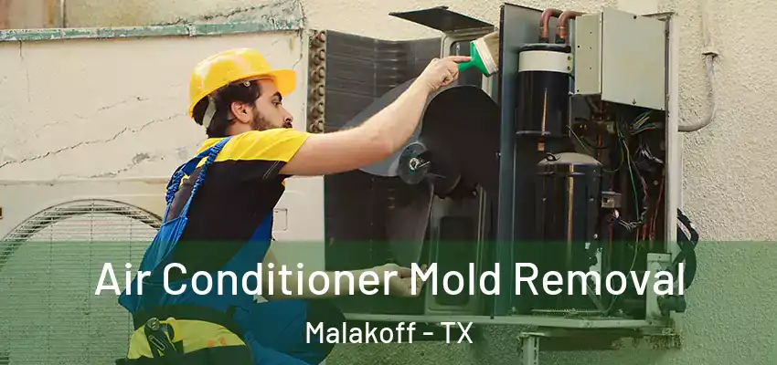  Air Conditioner Mold Removal Malakoff - TX