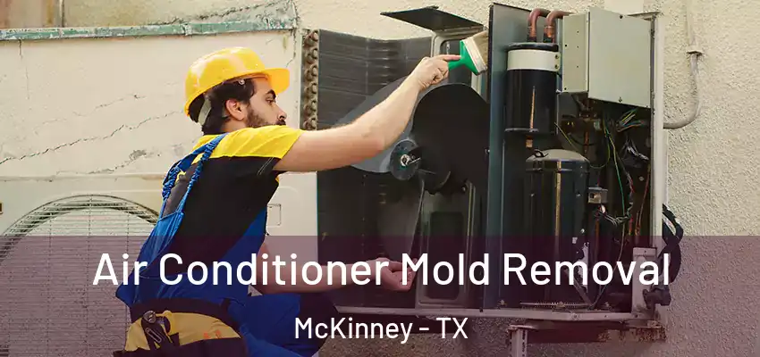  Air Conditioner Mold Removal McKinney - TX