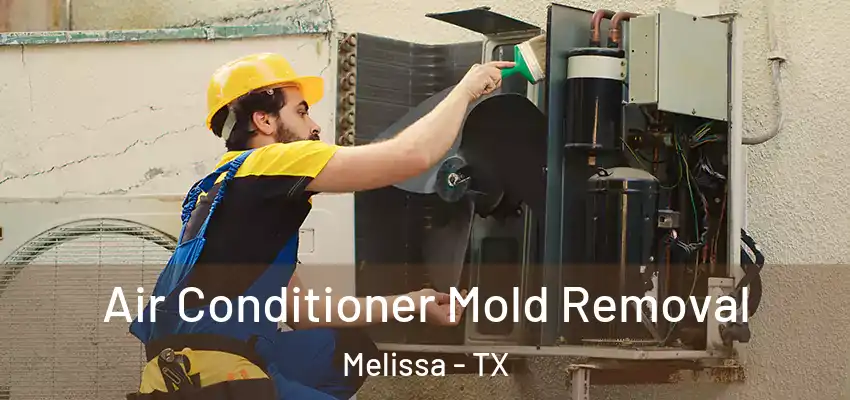  Air Conditioner Mold Removal Melissa - TX