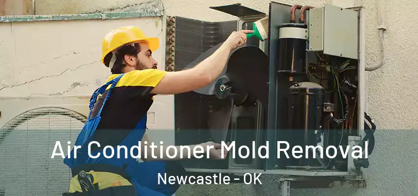  Air Conditioner Mold Removal Newcastle - OK