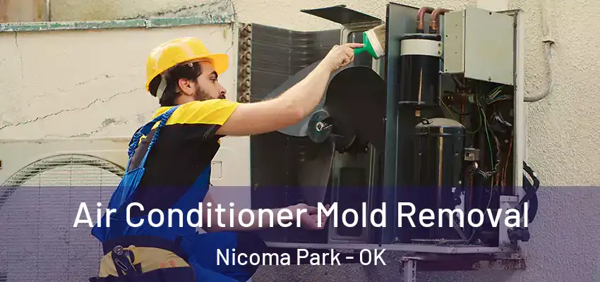  Air Conditioner Mold Removal Nicoma Park - OK