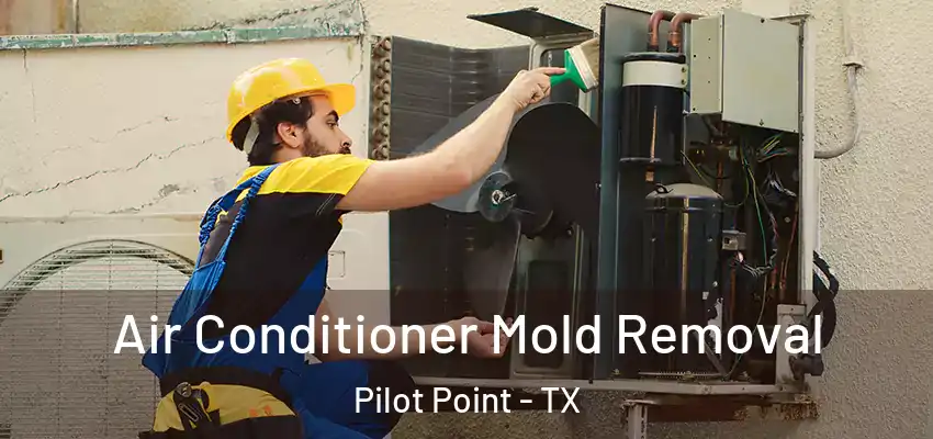 Air Conditioner Mold Removal Pilot Point - TX
