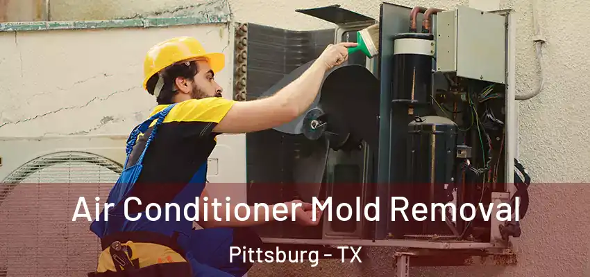 Air Conditioner Mold Removal Pittsburg - TX