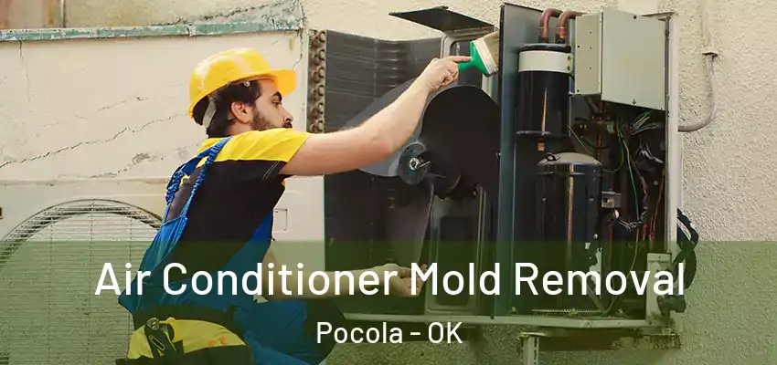Air Conditioner Mold Removal Pocola - OK