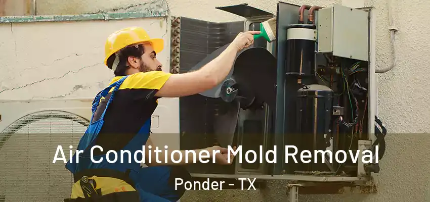  Air Conditioner Mold Removal Ponder - TX