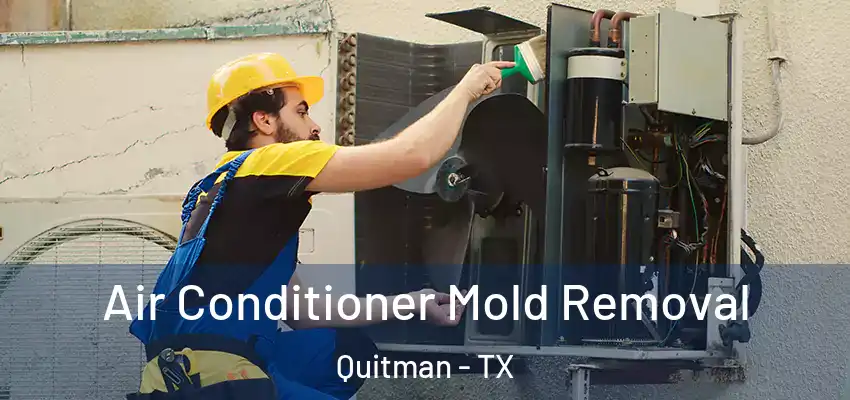 Air Conditioner Mold Removal Quitman - TX