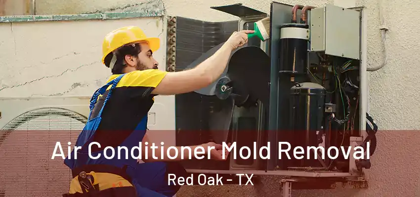 Air Conditioner Mold Removal Red Oak - TX