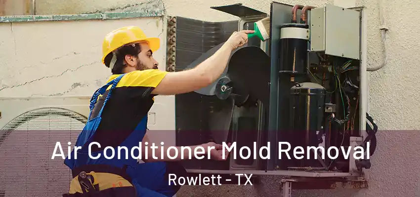  Air Conditioner Mold Removal Rowlett - TX
