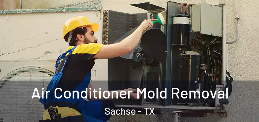 Air Conditioner Mold Removal Sachse - TX