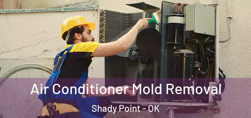  Air Conditioner Mold Removal Shady Point - OK