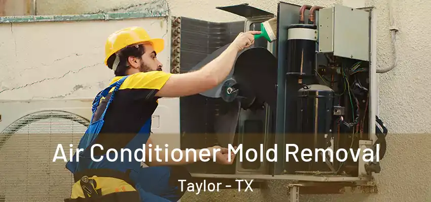  Air Conditioner Mold Removal Taylor - TX