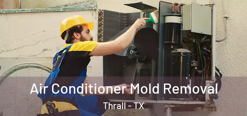  Air Conditioner Mold Removal Thrall - TX