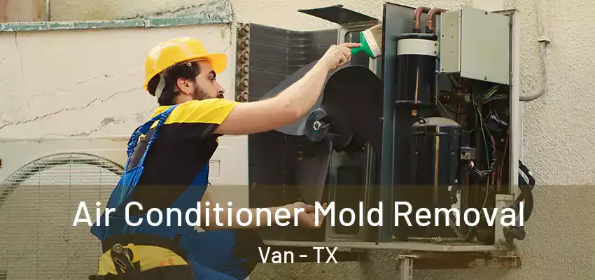 Air Conditioner Mold Removal Van - TX