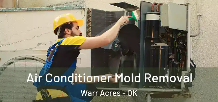  Air Conditioner Mold Removal Warr Acres - OK