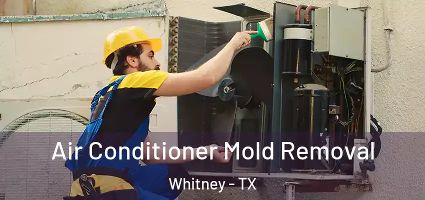  Air Conditioner Mold Removal Whitney - TX