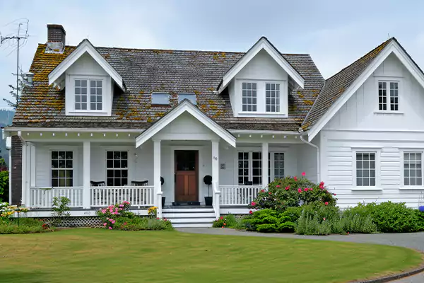 Mold Inspection Services in Frisco, TX