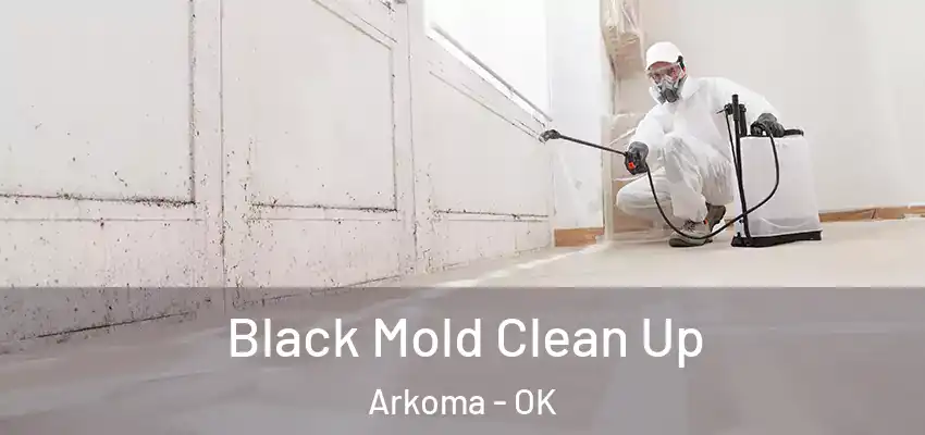  Black Mold Clean Up Arkoma - OK