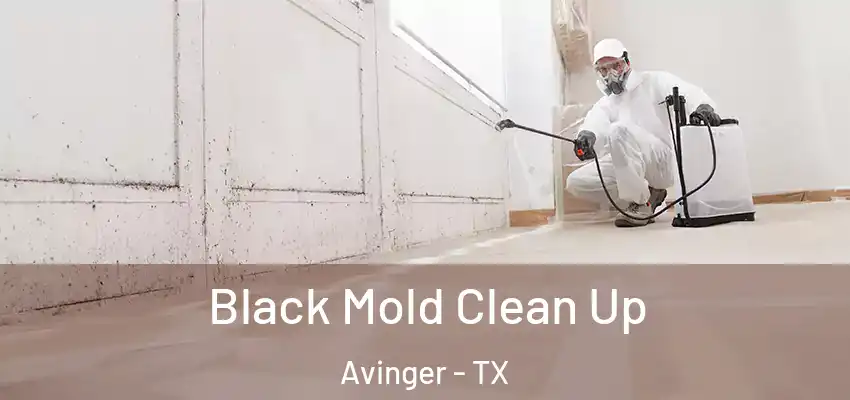 Black Mold Clean Up Avinger - TX