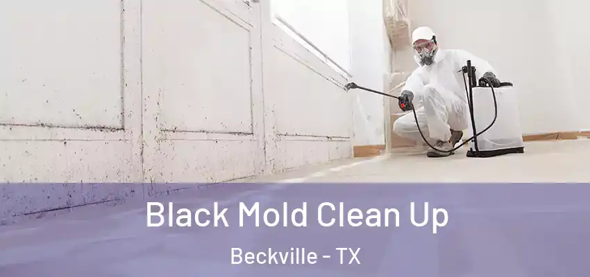  Black Mold Clean Up Beckville - TX