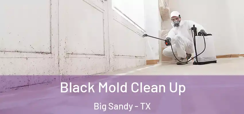 Black Mold Clean Up Big Sandy - TX