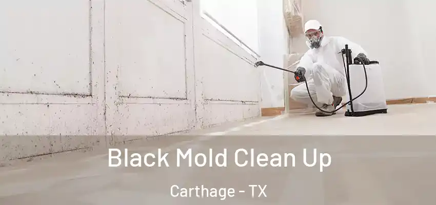  Black Mold Clean Up Carthage - TX
