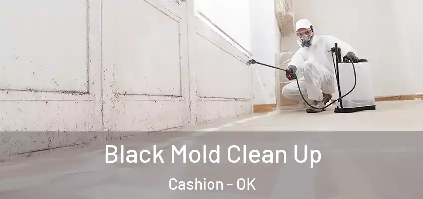  Black Mold Clean Up Cashion - OK