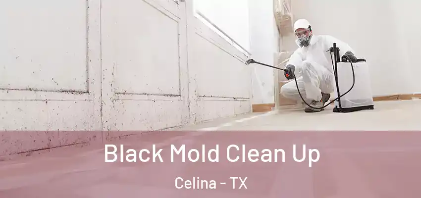  Black Mold Clean Up Celina - TX