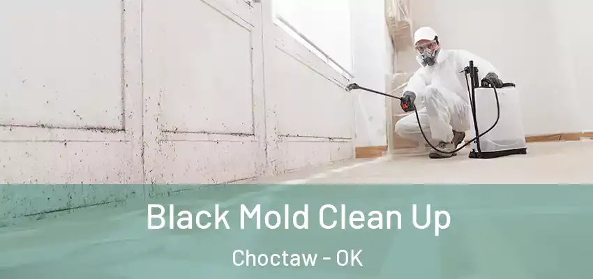  Black Mold Clean Up Choctaw - OK
