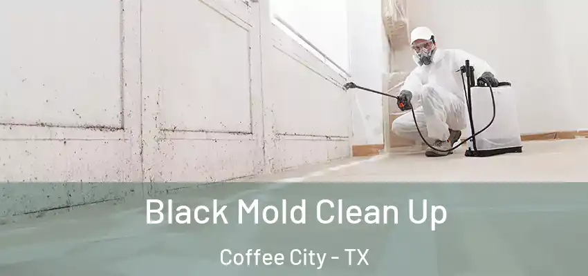  Black Mold Clean Up Coffee City - TX