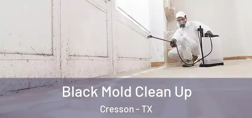  Black Mold Clean Up Cresson - TX