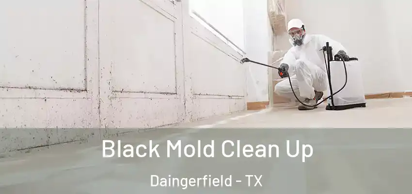 Black Mold Clean Up Daingerfield - TX