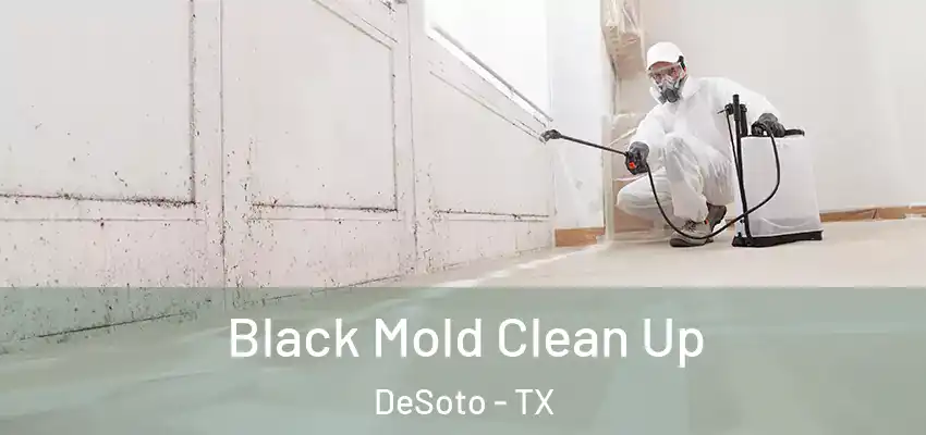  Black Mold Clean Up DeSoto - TX