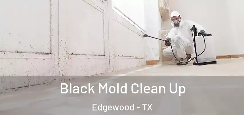Black Mold Clean Up Edgewood - TX