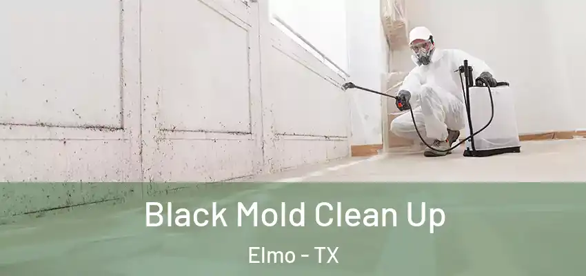 Black Mold Clean Up Elmo - TX