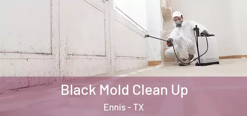  Black Mold Clean Up Ennis - TX