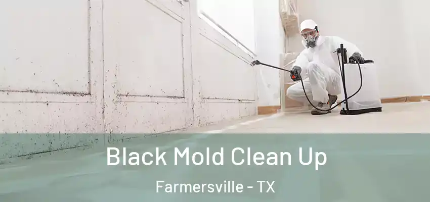 Black Mold Clean Up Farmersville - TX